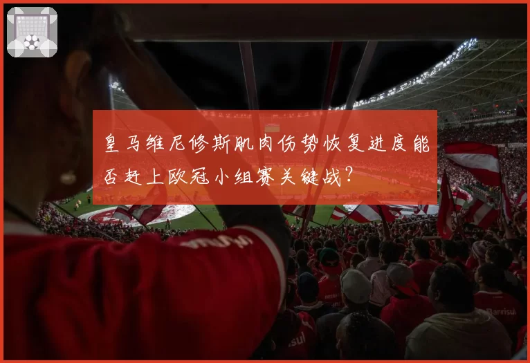 皇马维尼修斯肌肉伤势恢复进度能否赶上欧冠小组赛关键战？