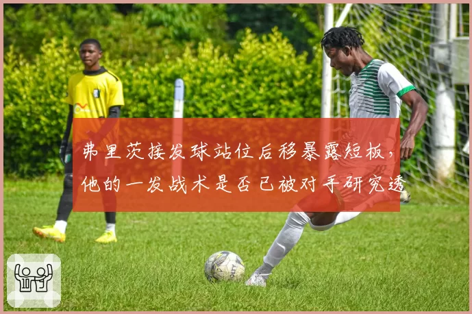 弗里茨接发球站位后移暴露短板,他的一发战术是否已被对手研究透彻?