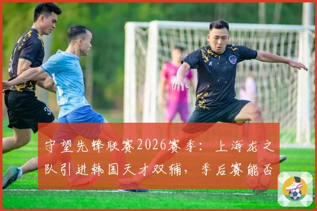 守望先锋联赛2026赛季：上海龙之队引进韩国天才双辅，季后赛能否突破八强？
